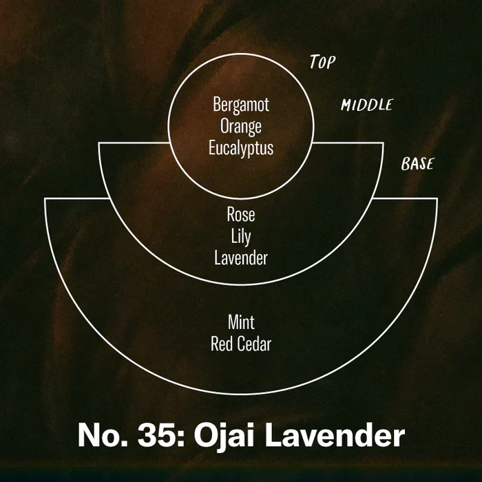 7.2 Soy Candle (Ojai Lavender) - Image 3