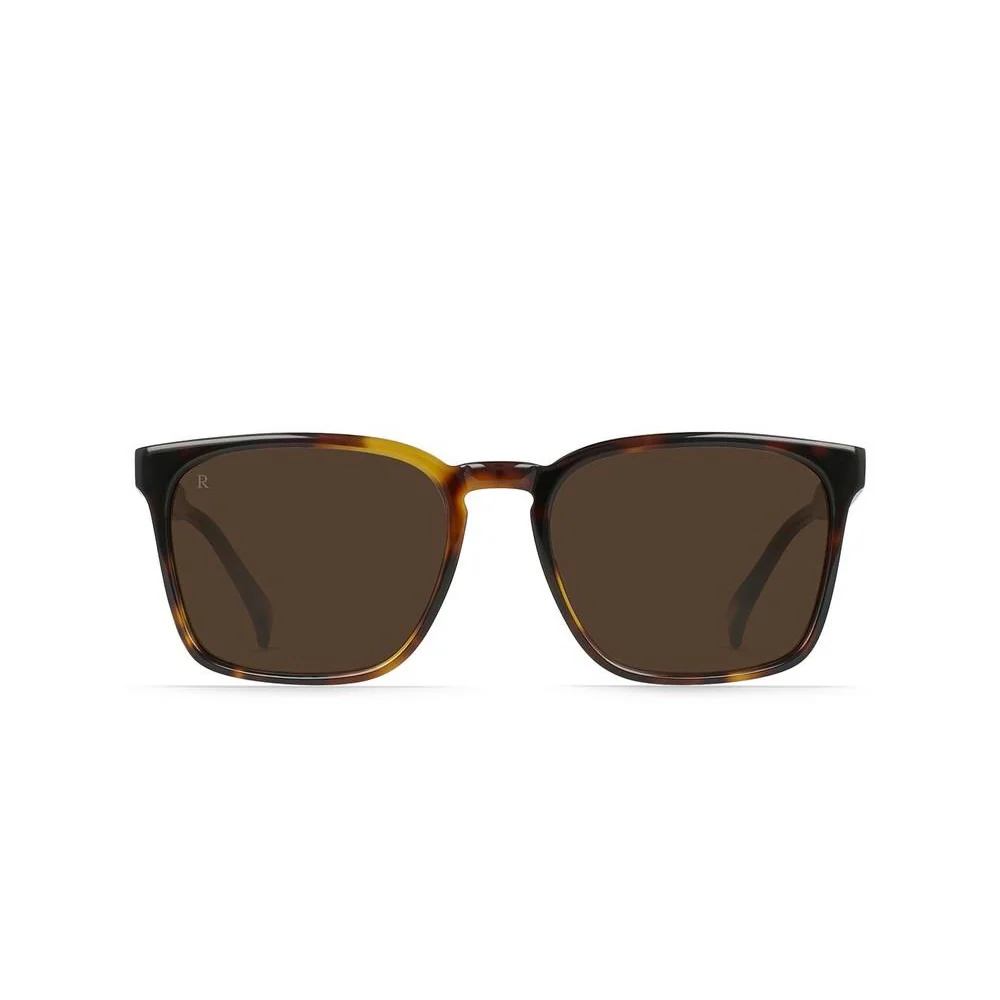 Pierce Sunglasses ( Kola Tortoise + Brown)