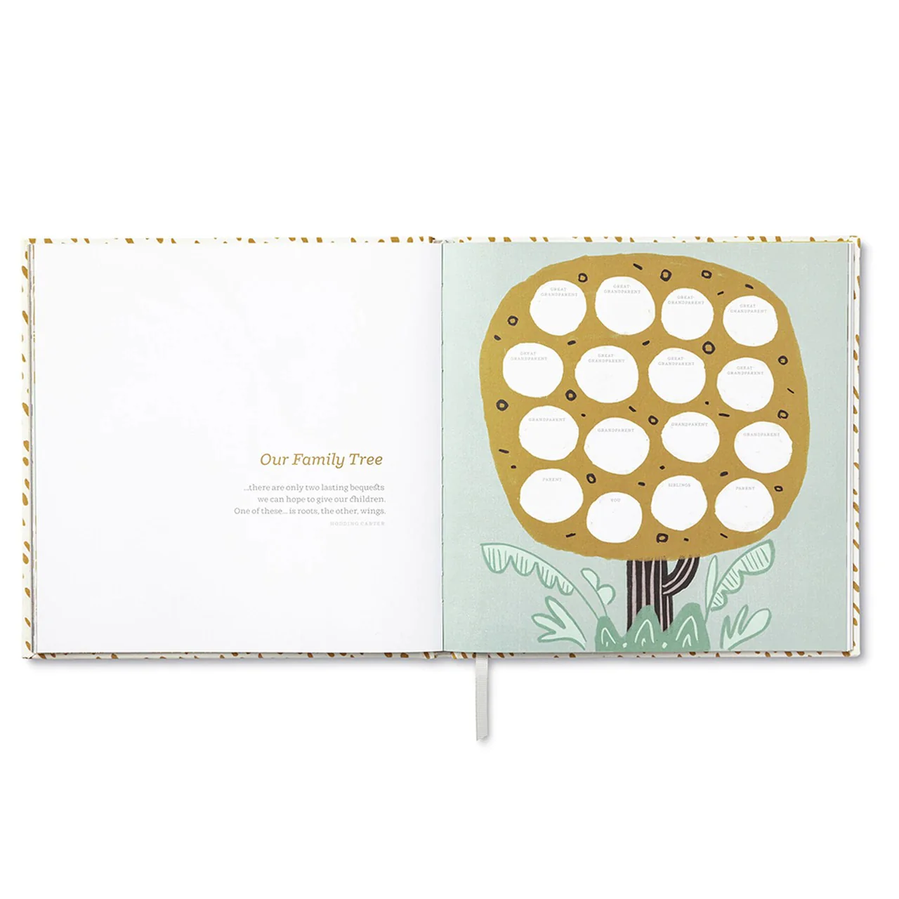 You're Here! A Keepsake Baby Book - Image 3
