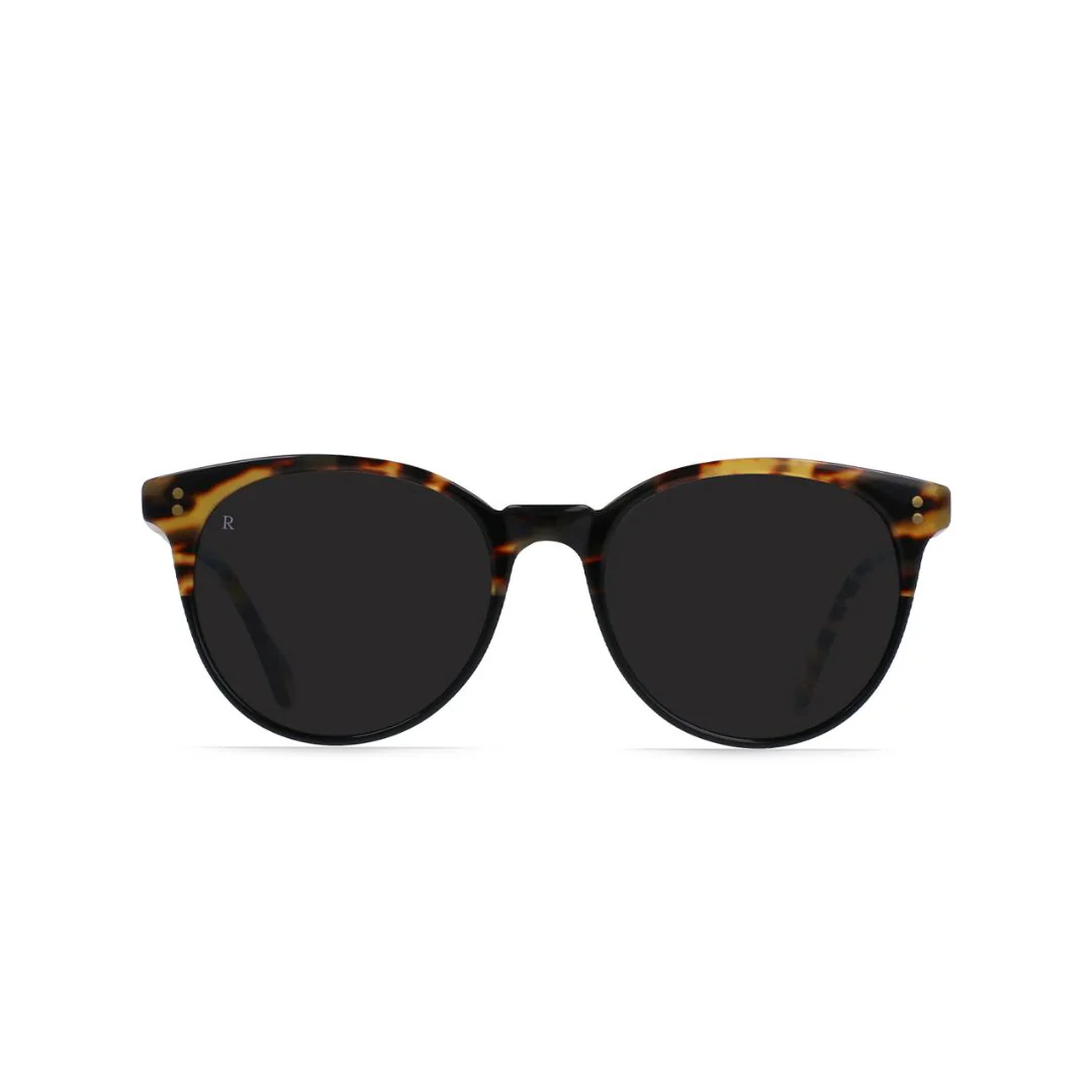 Adin Sunglasses (Tamarin + Dark Smoke)
