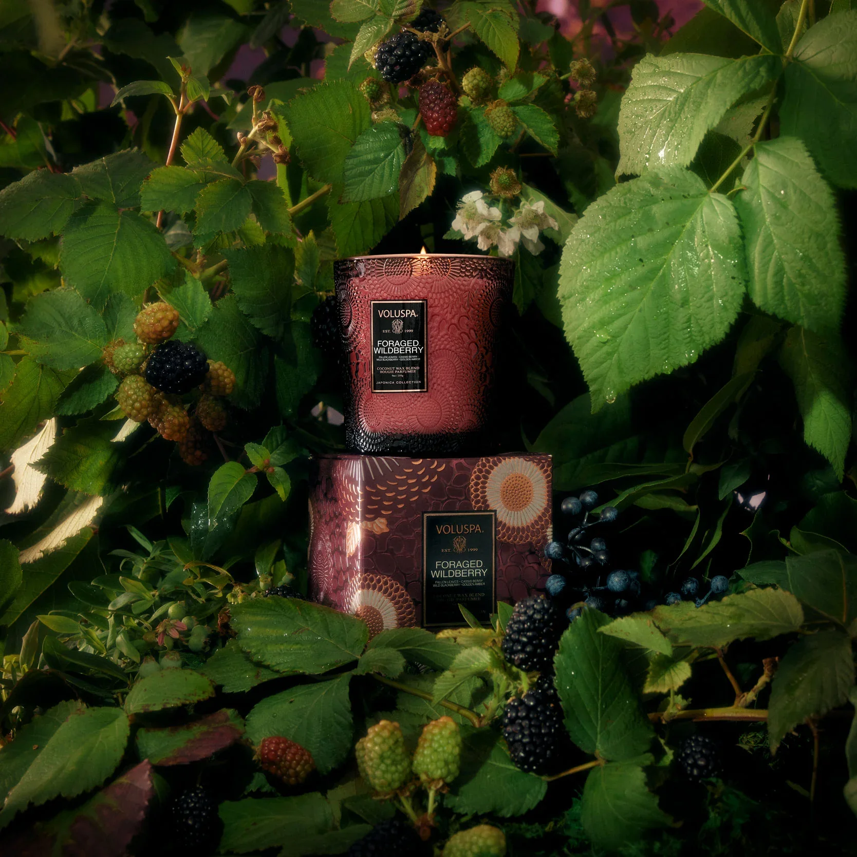 Classic Candle (Foraged Wildberry) - Image 2