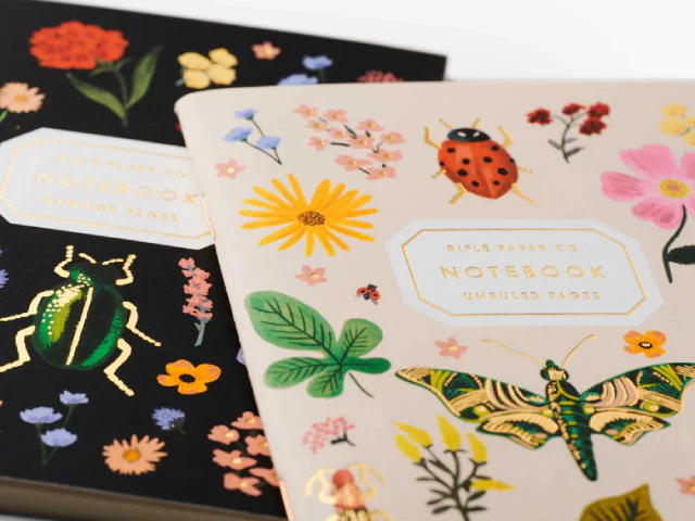 Curio Pocket Notebooks (Pair of 2) - Image 3