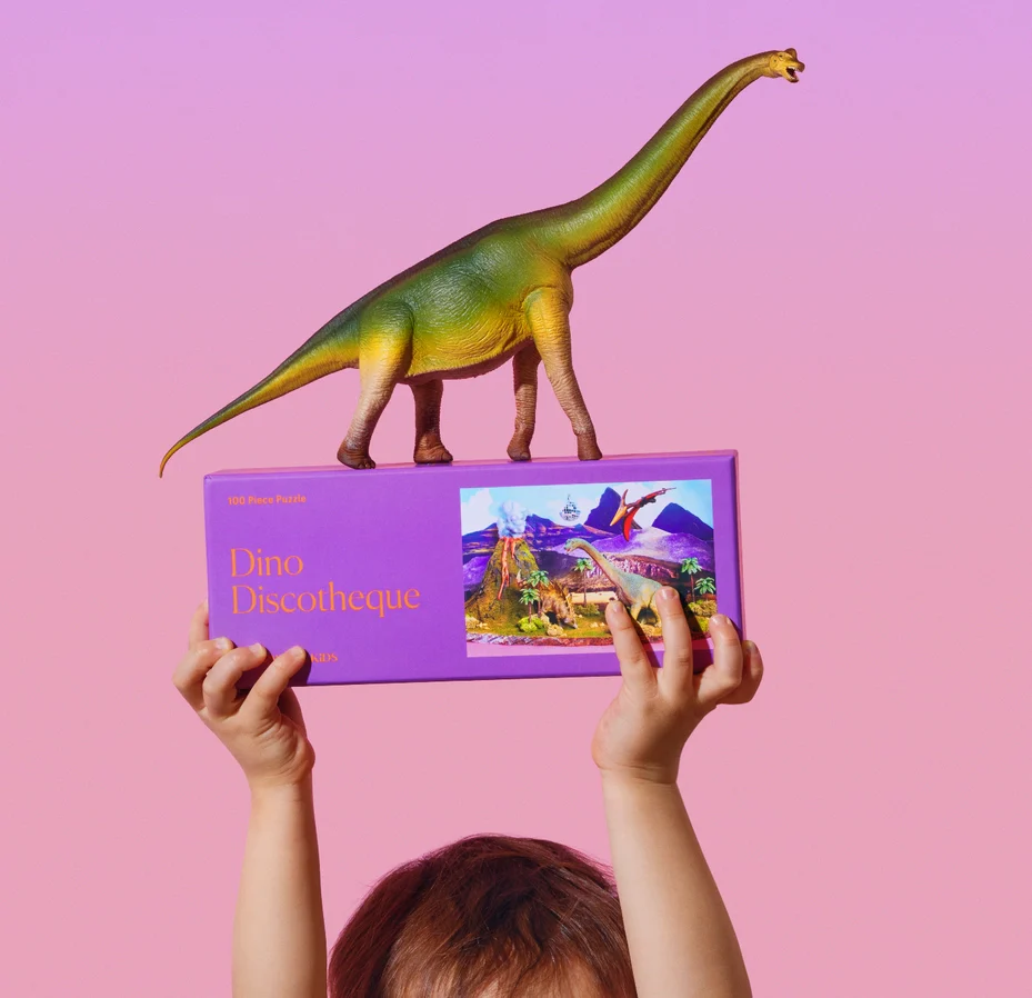 Dino Discotheque Puzzle - Image 5
