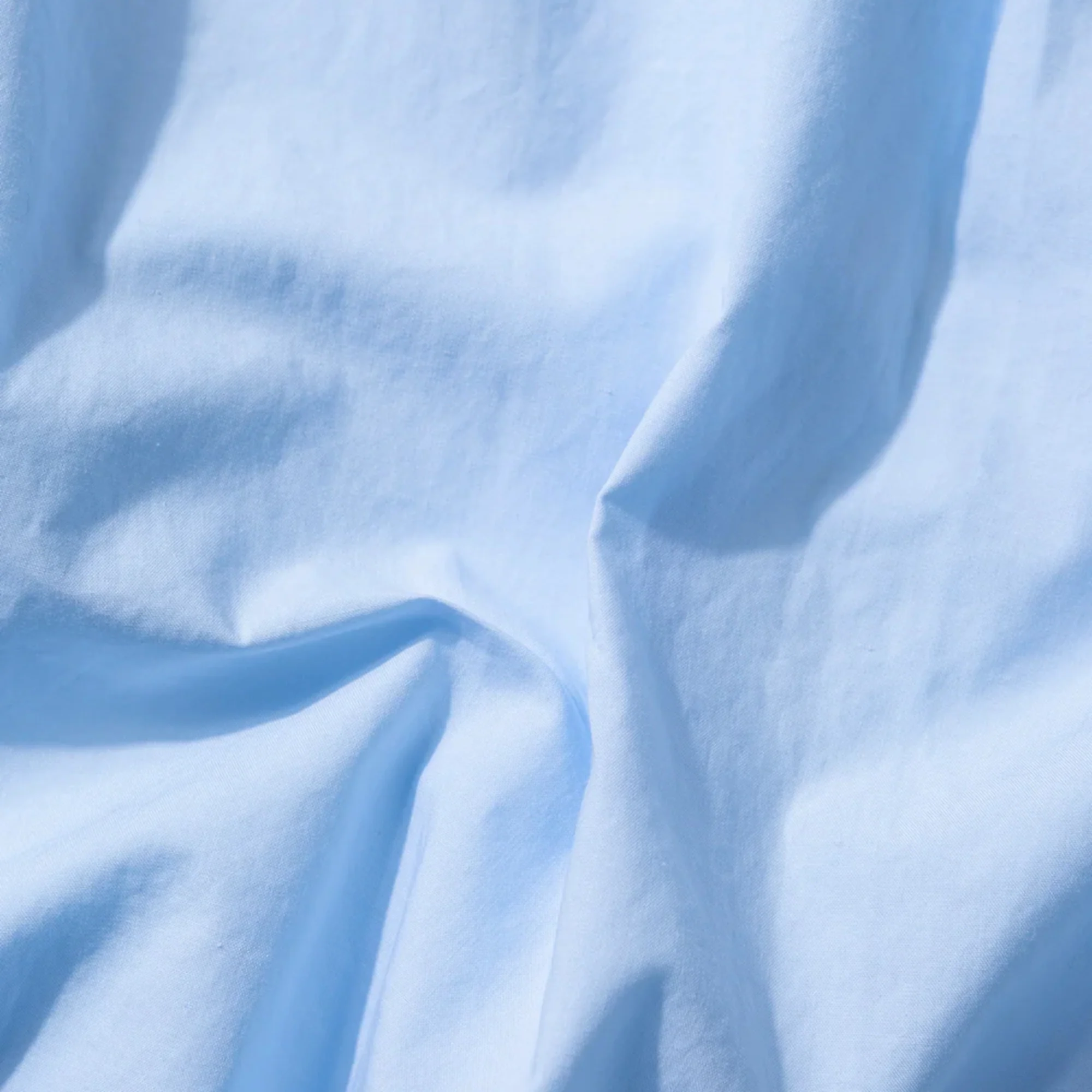 Duck Patch Shirt (Light Blue) - Image 3