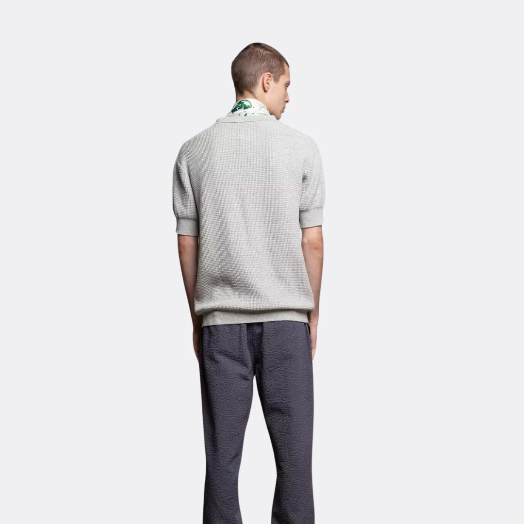 Gleni Fancy Knit Polo Sweater (Grey) - Image 2