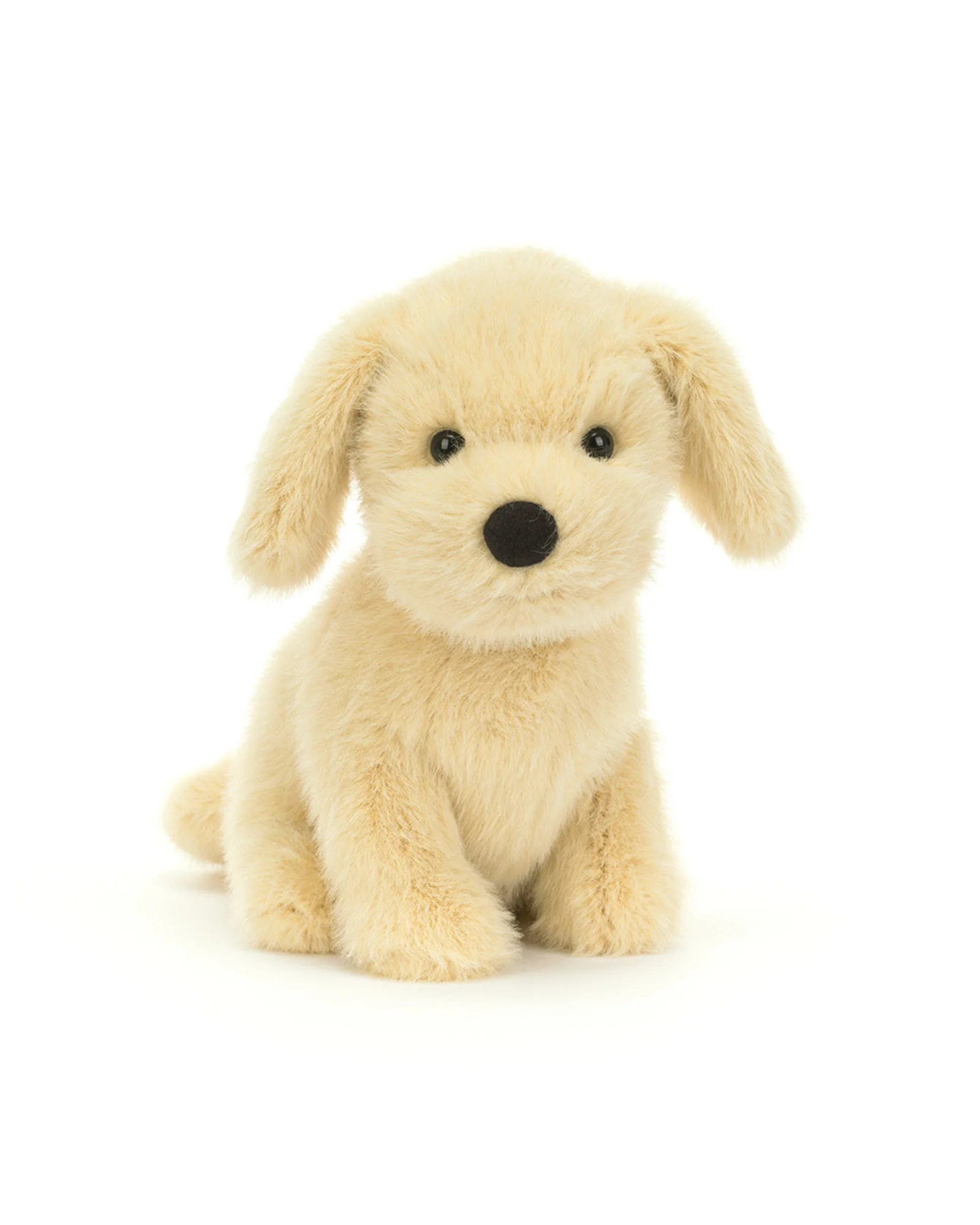Golden Puppy - Image 2