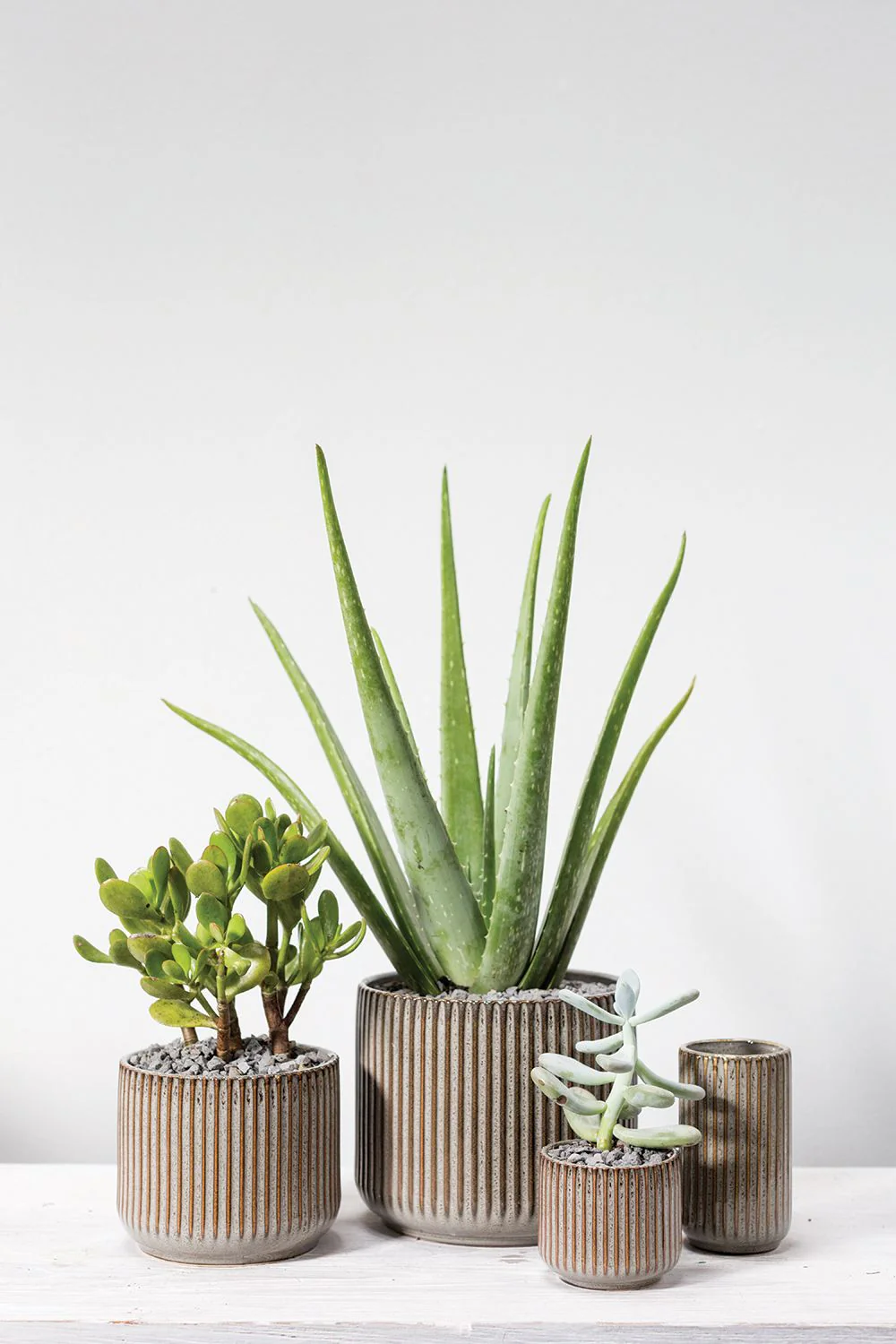 Habitat Pot (Small) - Image 3