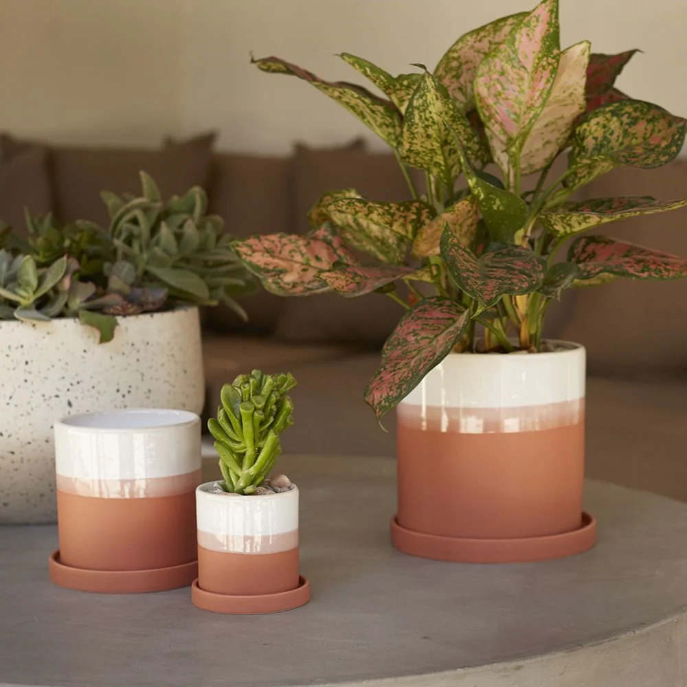 Hadley Pot (Small) - Image 2
