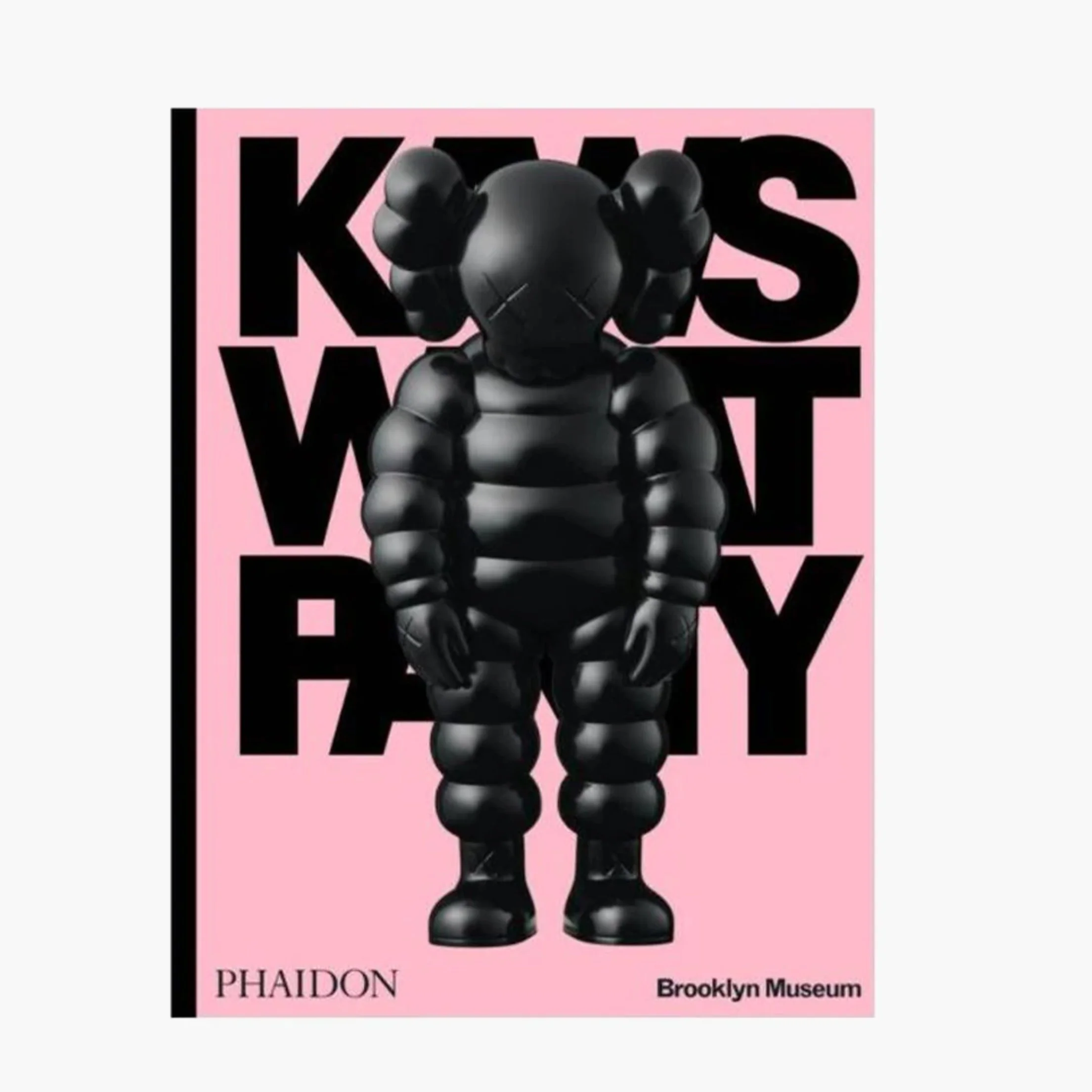 Kaws: What Party