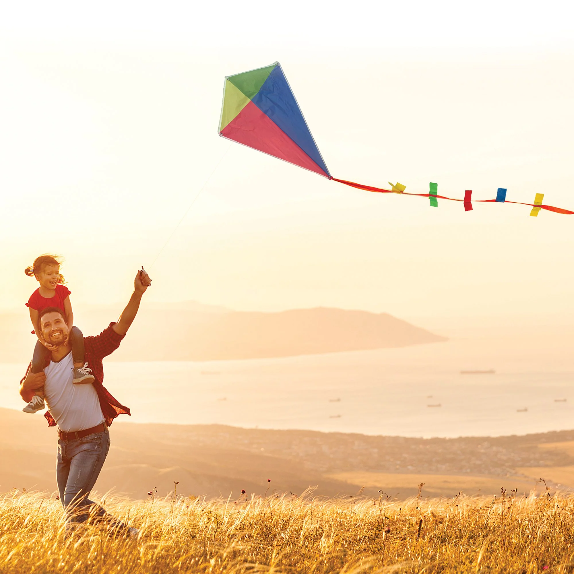 Classic Diamond Kite - Image 2