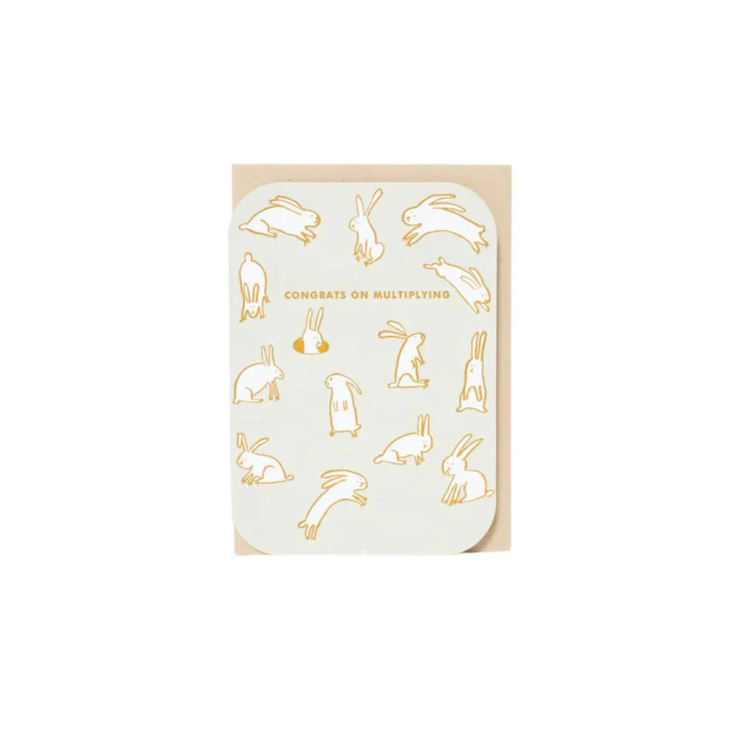 Multiplying Baby Rabbits Card