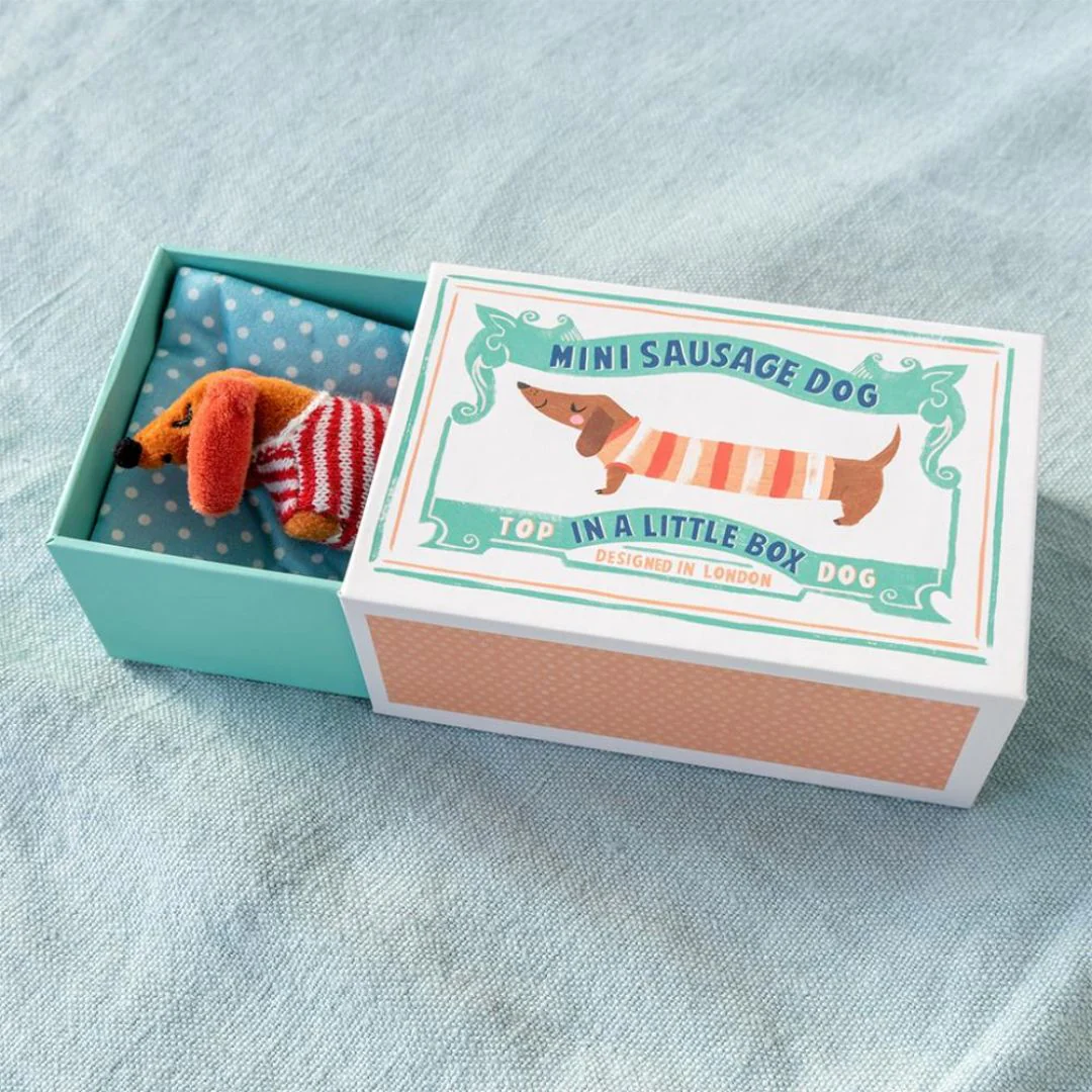 Mini Sausage Dog In A Little Box - Image 2