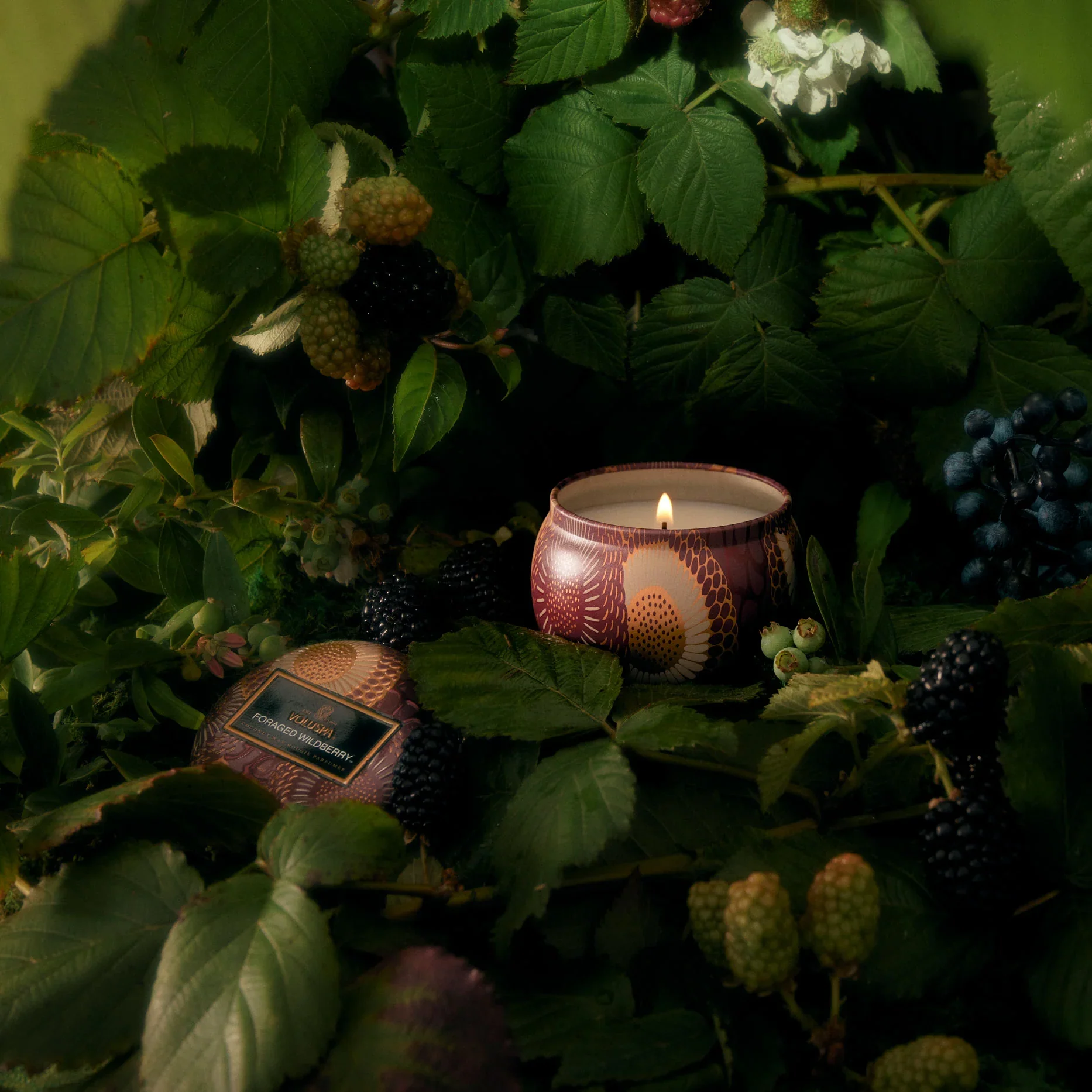 Mini Tin Candle (Foraged Wildberry) - Image 2