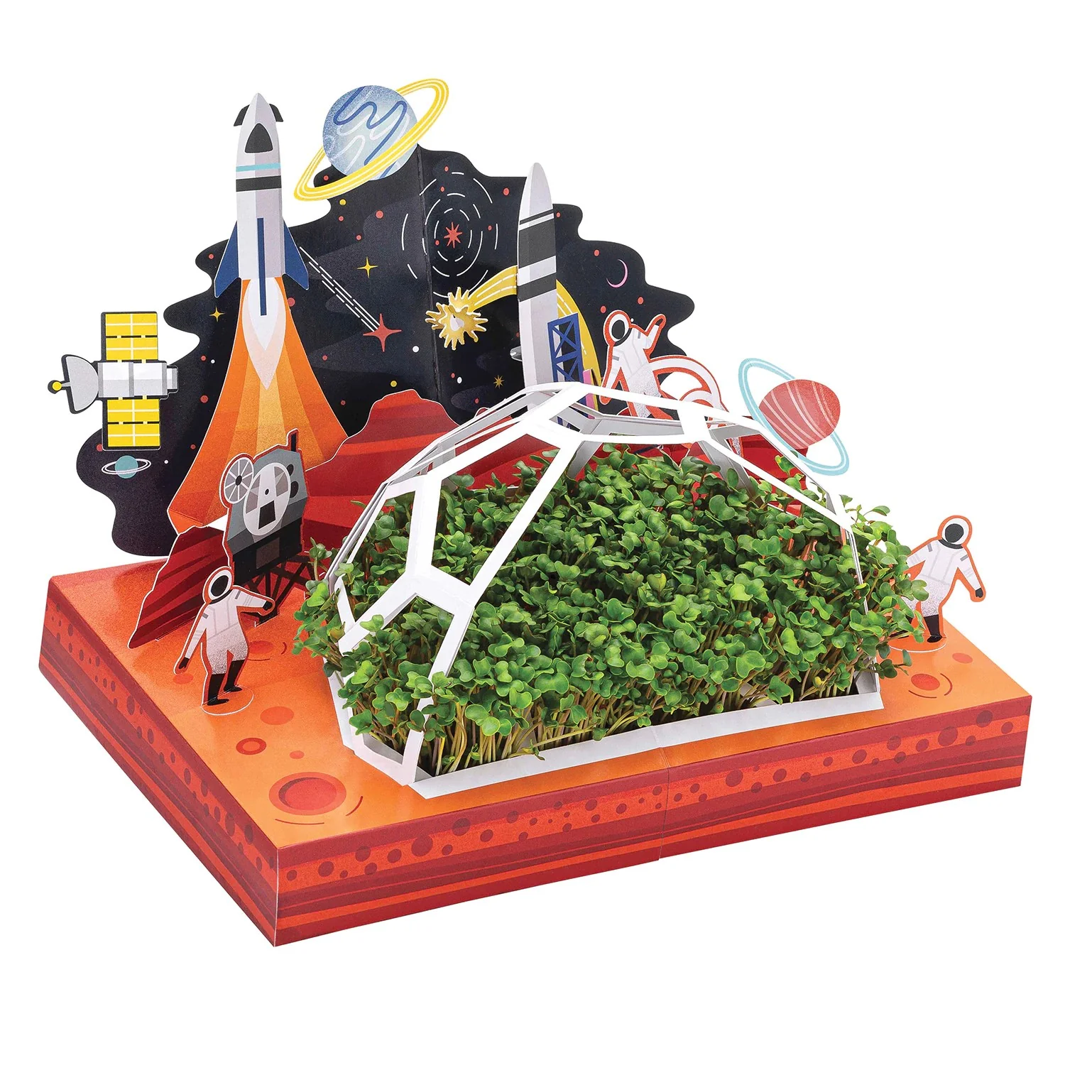 Mircogreens Pop Up Garden (Out Of This World) - Image 2