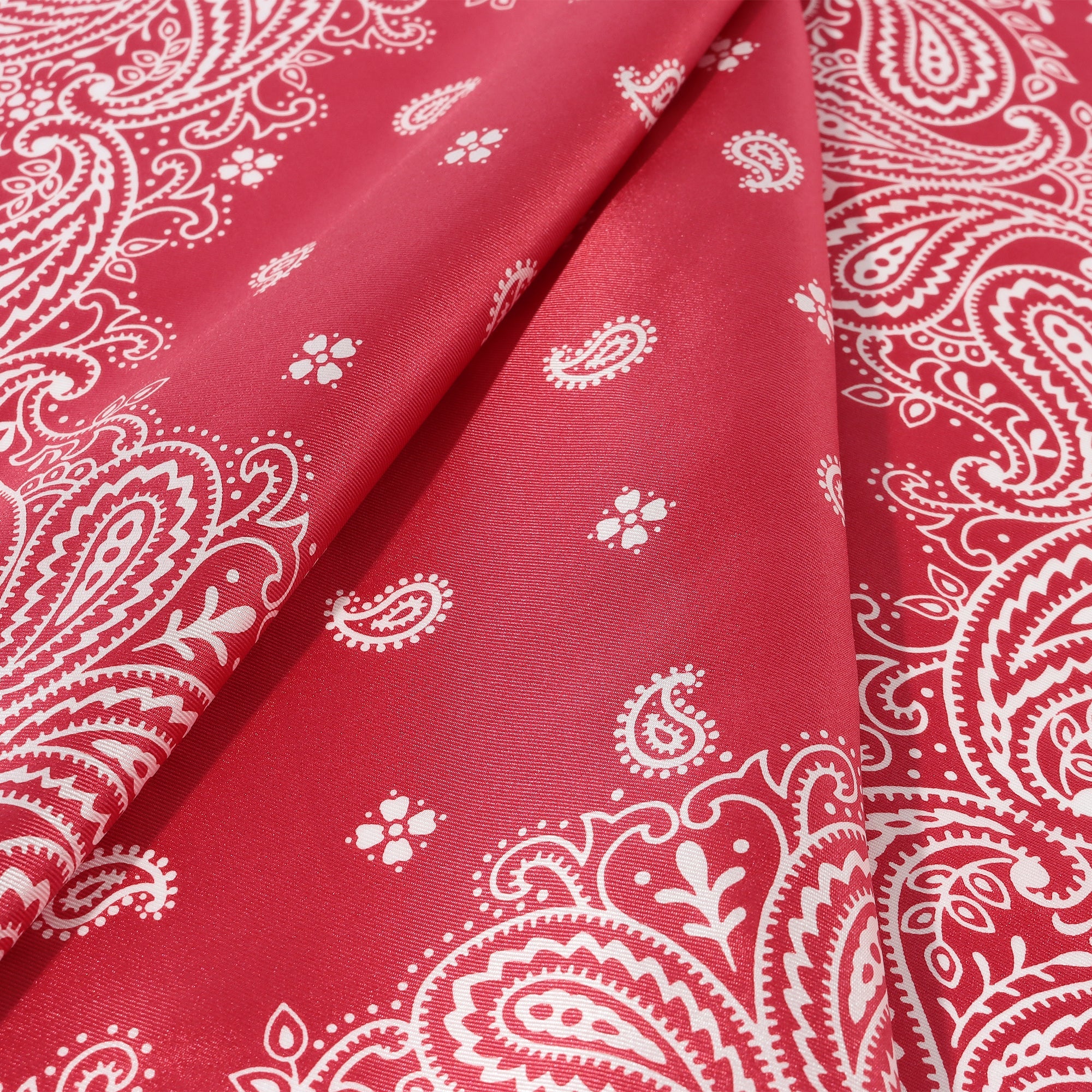 Paisley Silk Scarf - Image 4