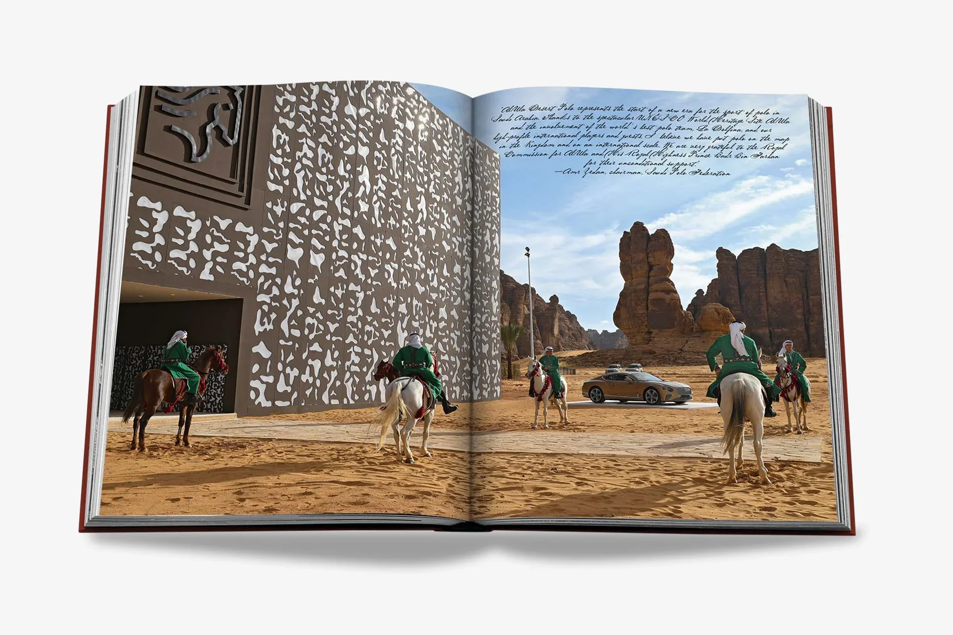 Polo Heritage - Image 17