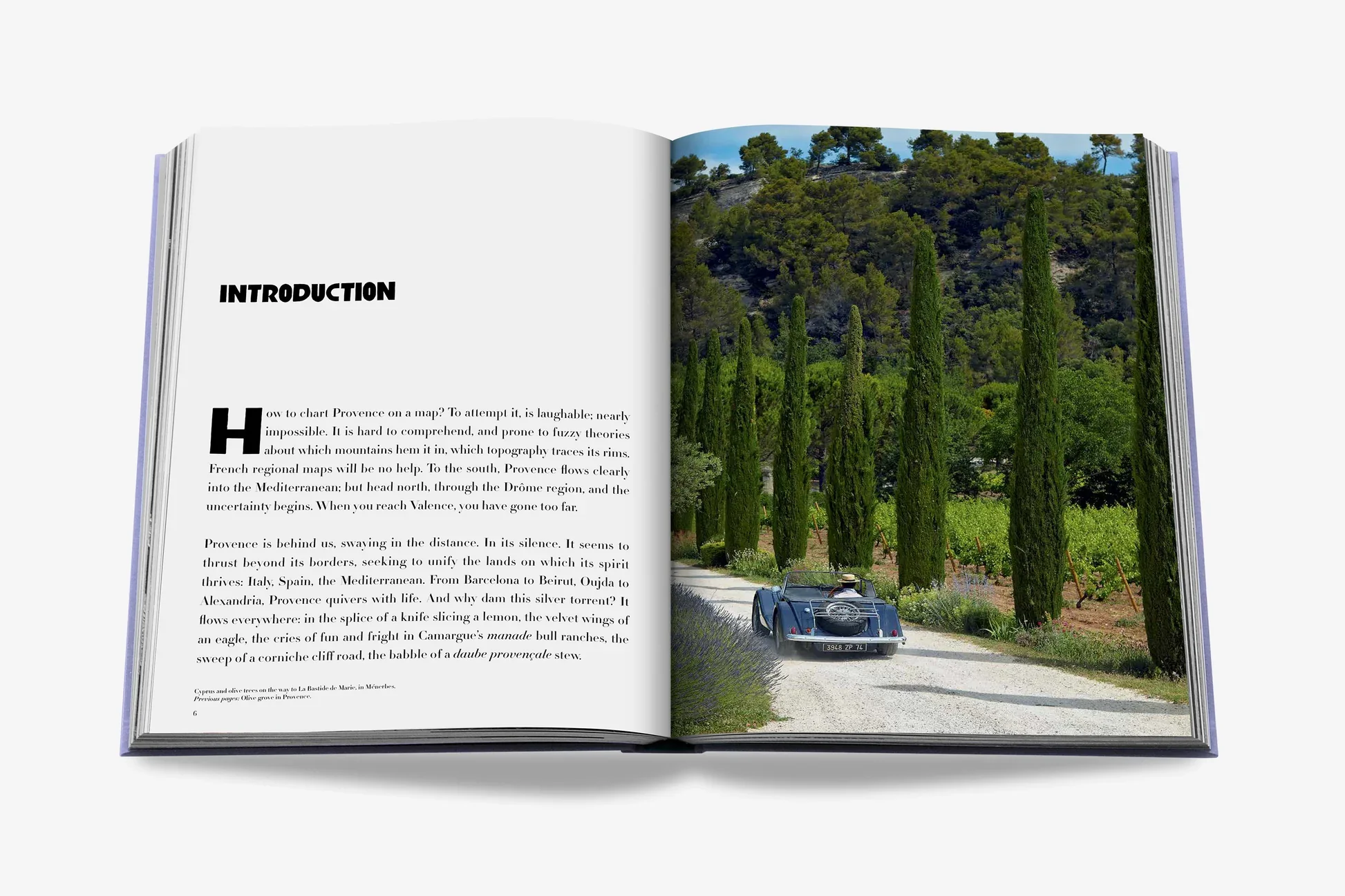 Provence Glory - Image 4