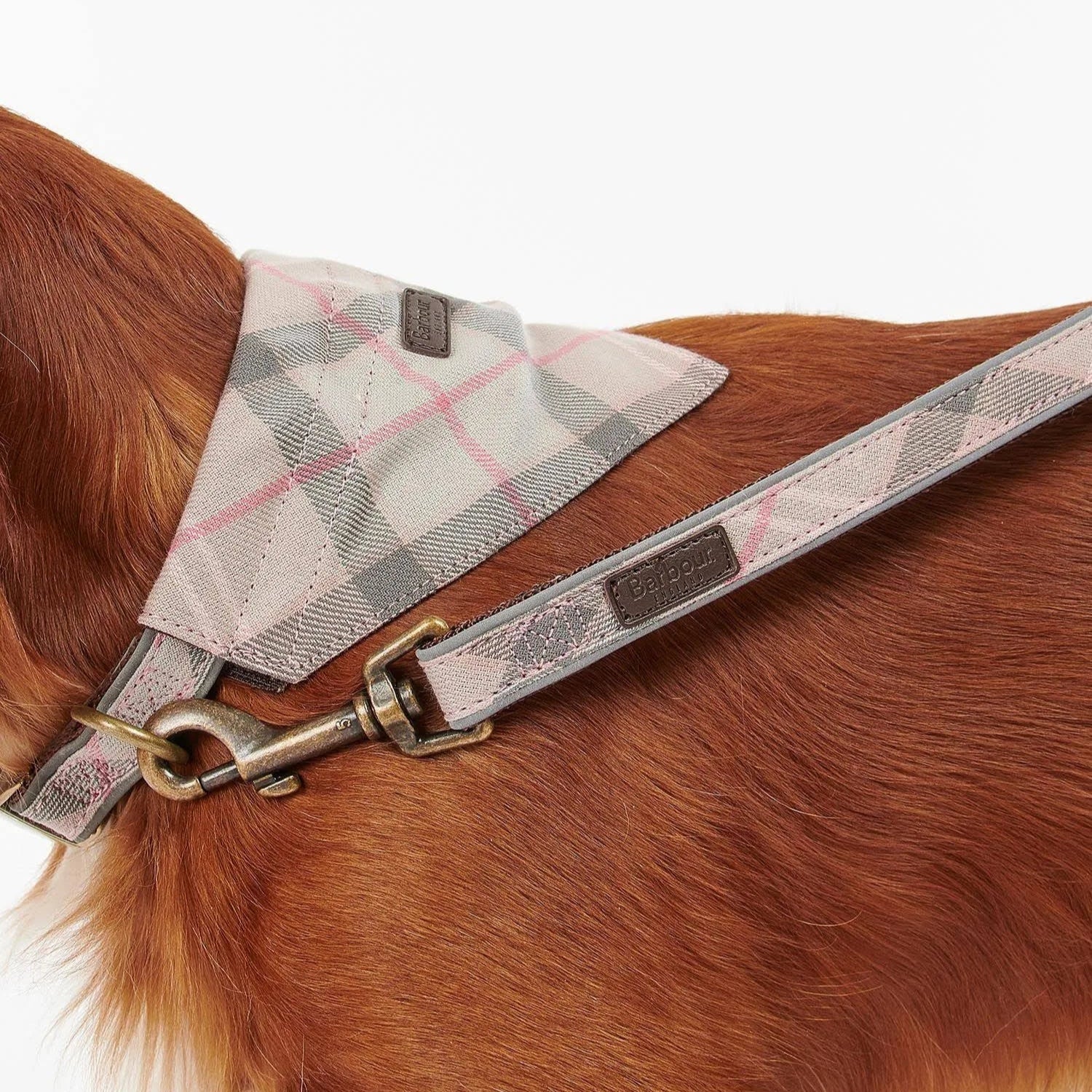 Reflective Tartan Dog Lead (Taupe + Pink) - Image 3