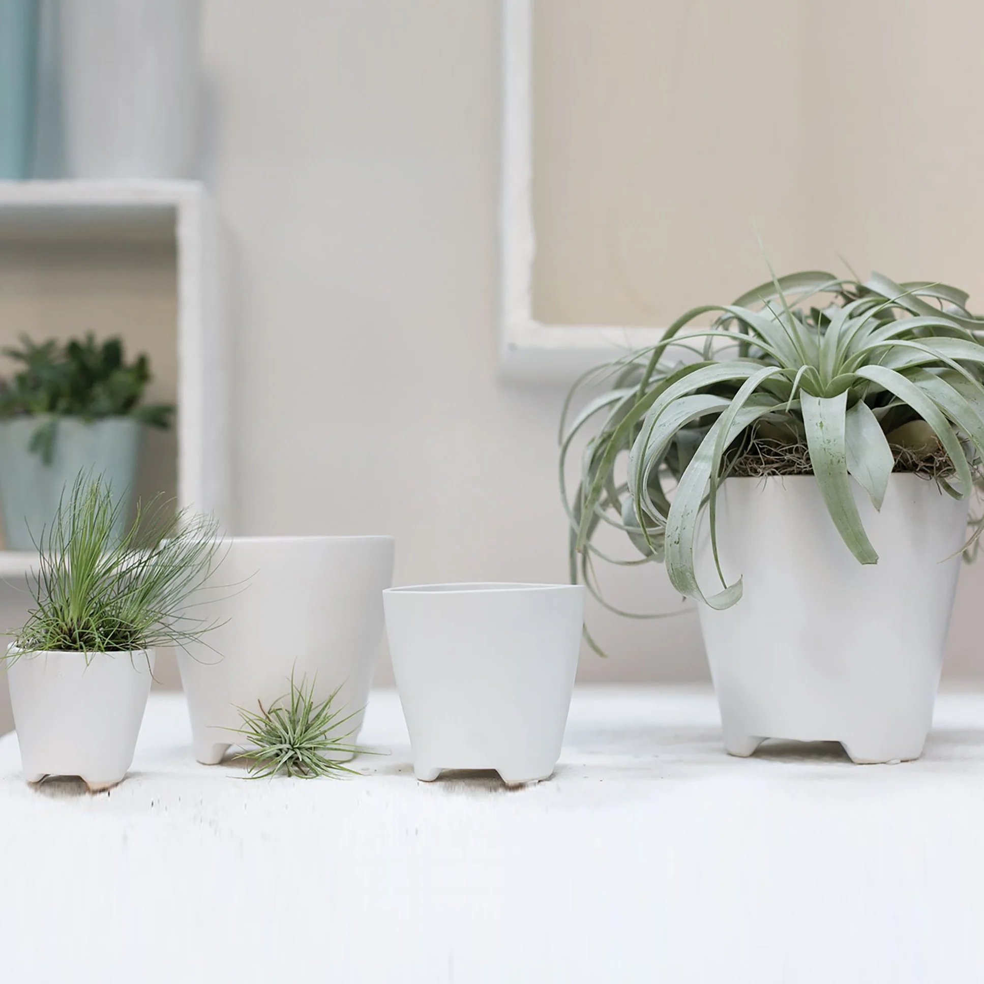 Ruth Pot (Medium) - Image 2