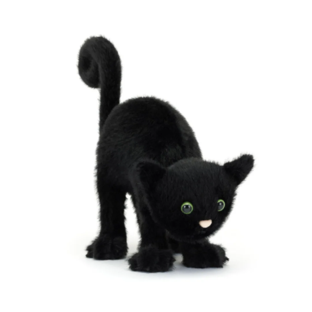 Spookipaws Cat