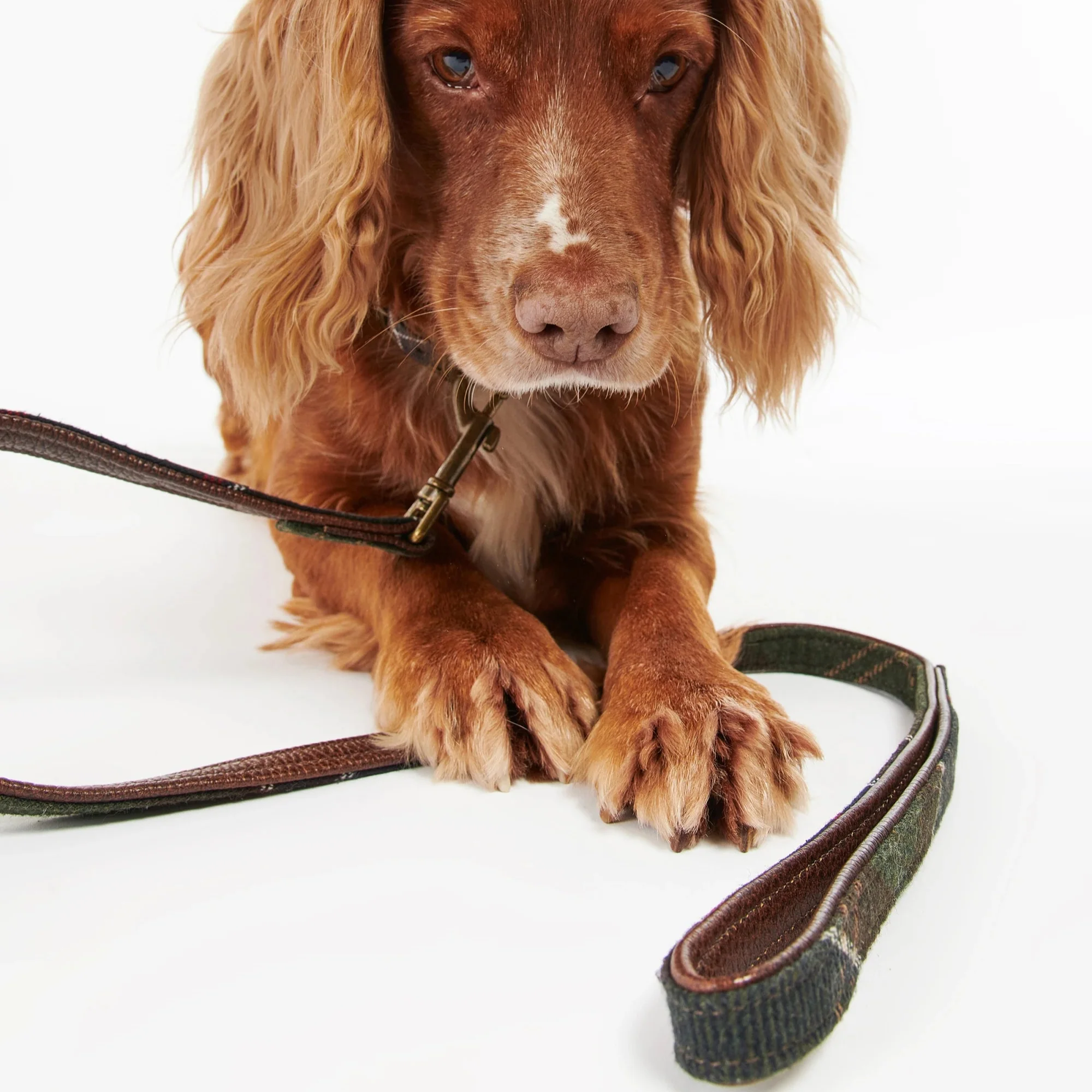 Tartan Dog Lead (Classic Tartan) - Image 3