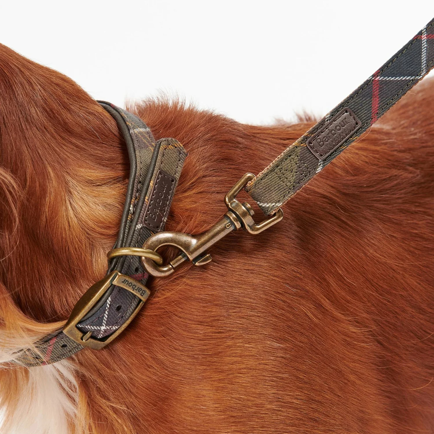 Tartan Webbing Dog Lead (Classic Tartan) - Image 2