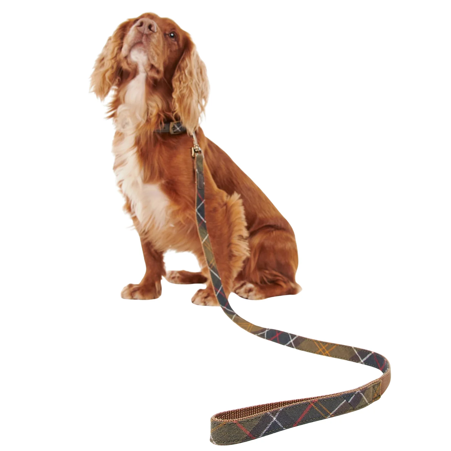 Tartan Webbing Dog Lead (Classic Tartan) - Image 4