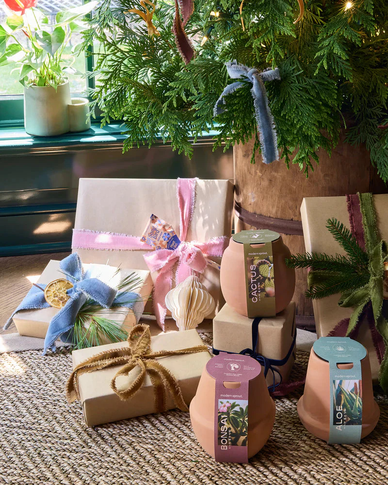Modern Terracotta Grow Kits - Image 5