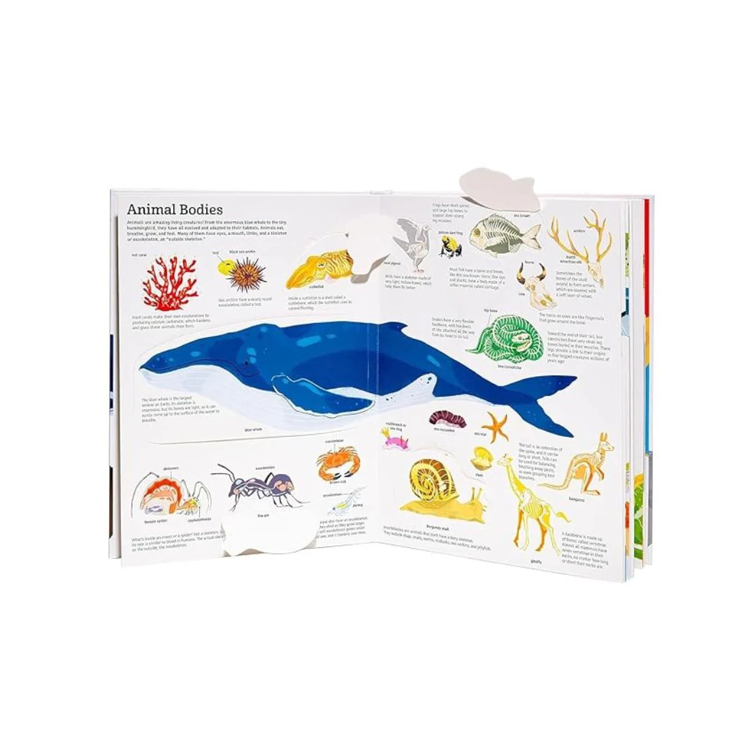 Ultimate Book of Animals - Image 2