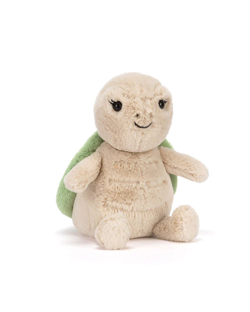 Thimble Turtle