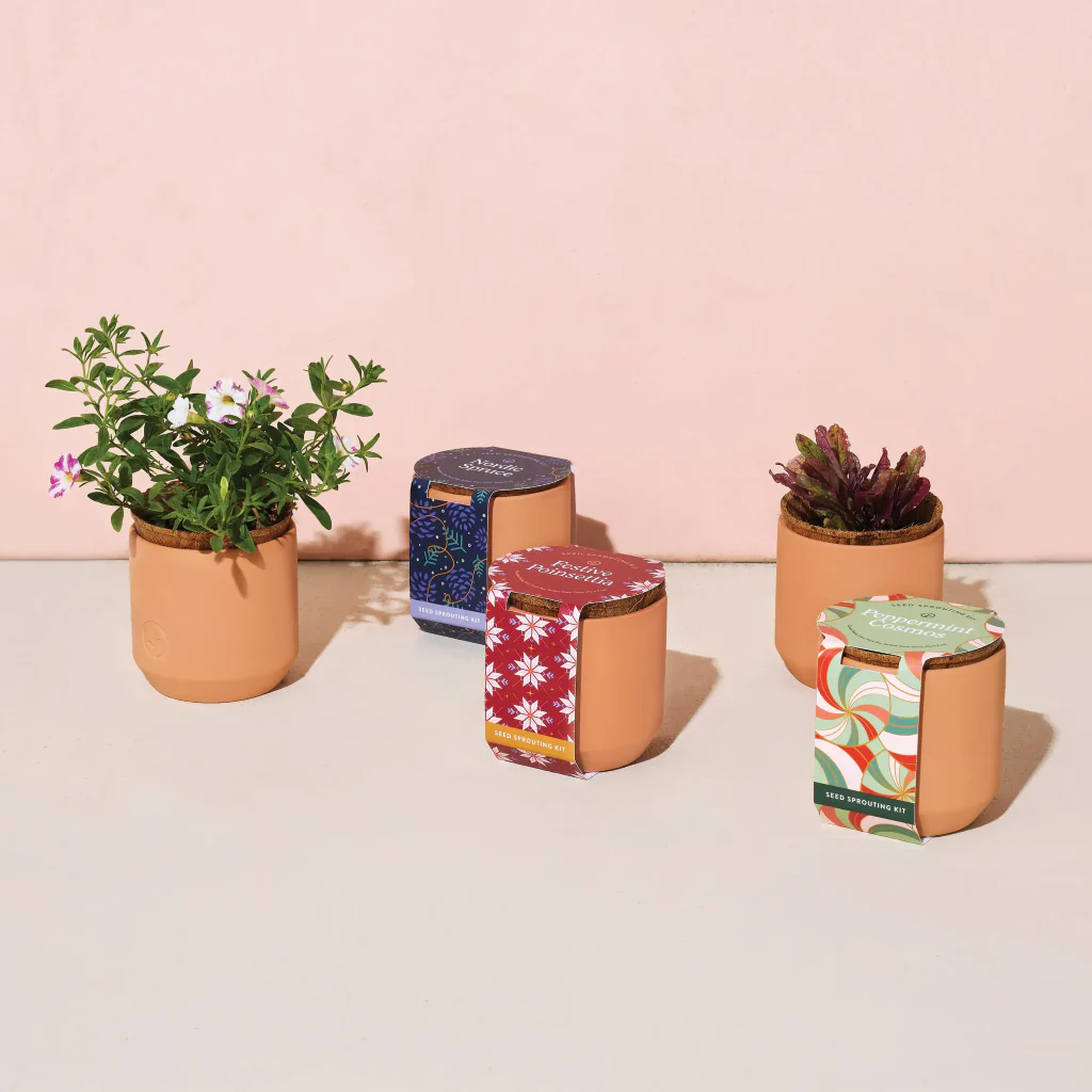 Tiny Terracotta Kit (Festive Poinsettia) - Image 2