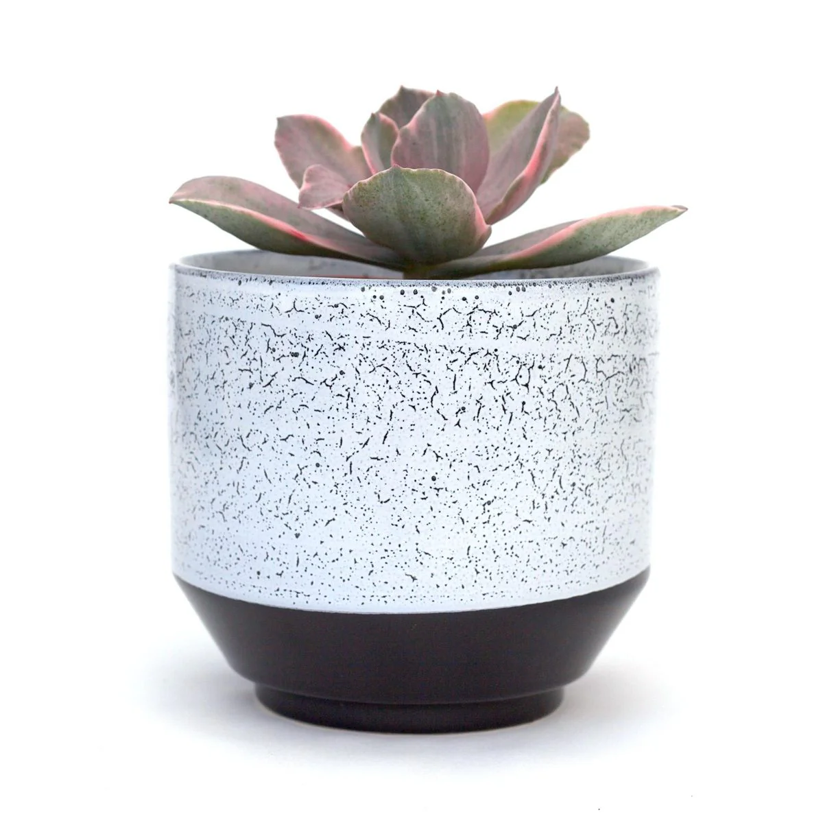 Vanna Pot (Medium) - Image 2