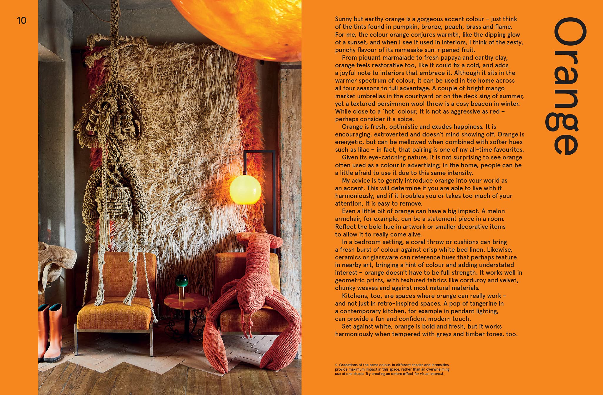Vivid: Style in Color - Image 3